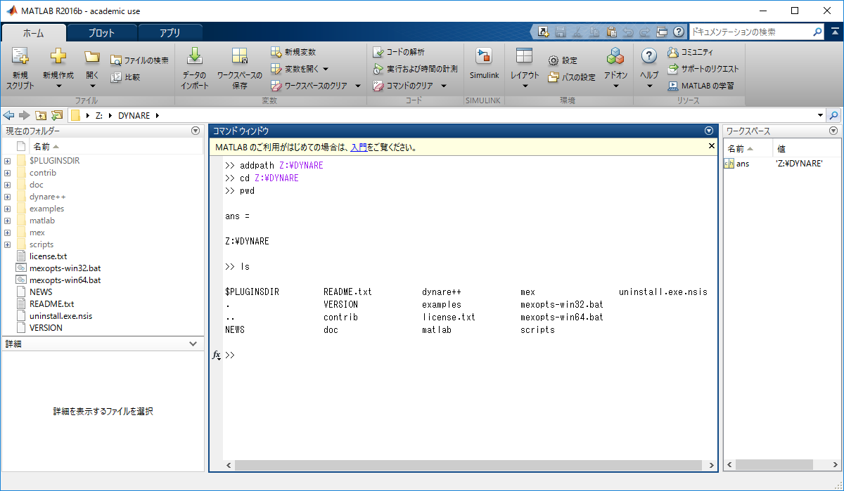 Using DYNARE on MATLAB