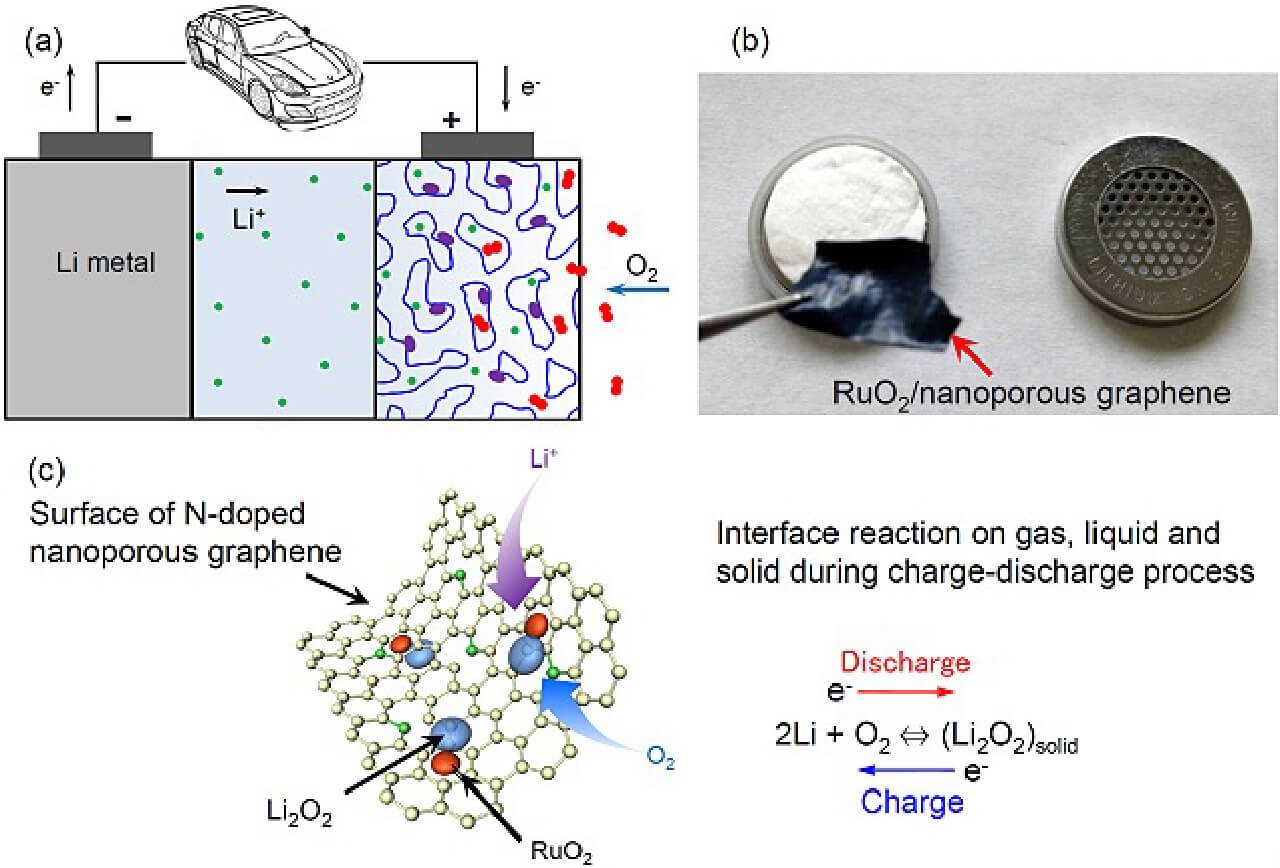 Research｜Yoshikazu Ito lab, University of Tsukuba