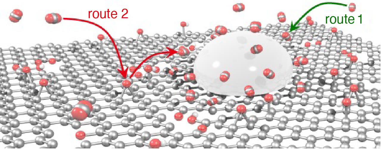 Research｜Yoshikazu Ito lab, University of Tsukuba