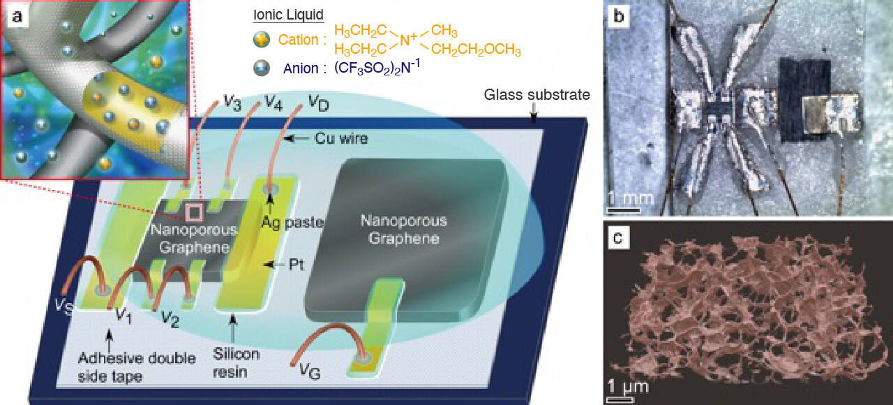 Research｜Yoshikazu Ito lab, University of Tsukuba