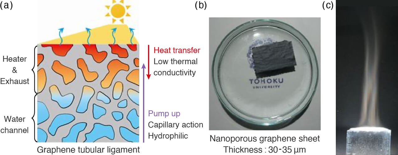 Research｜Yoshikazu Ito lab, University of Tsukuba