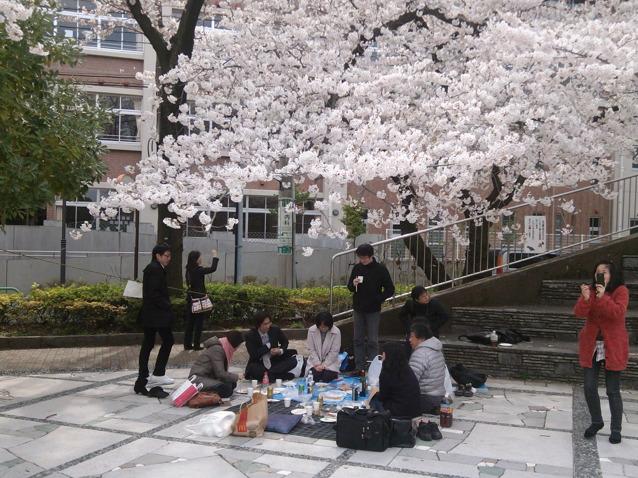 花見