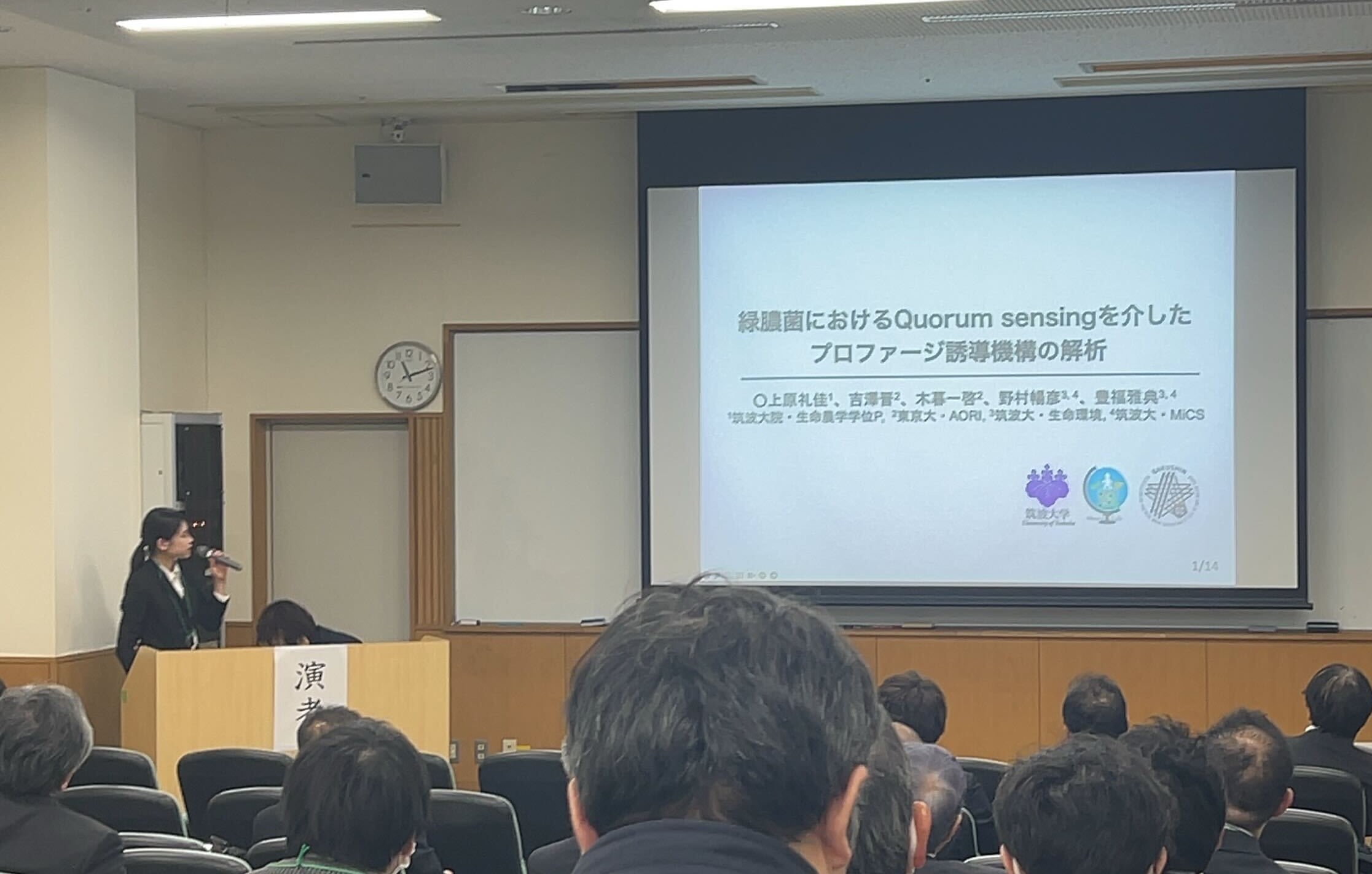緑膿菌・グラム陰性菌感染症研究会