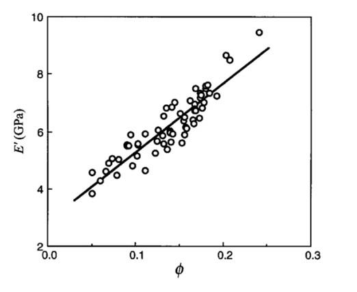 Stiffness and bundle sheath