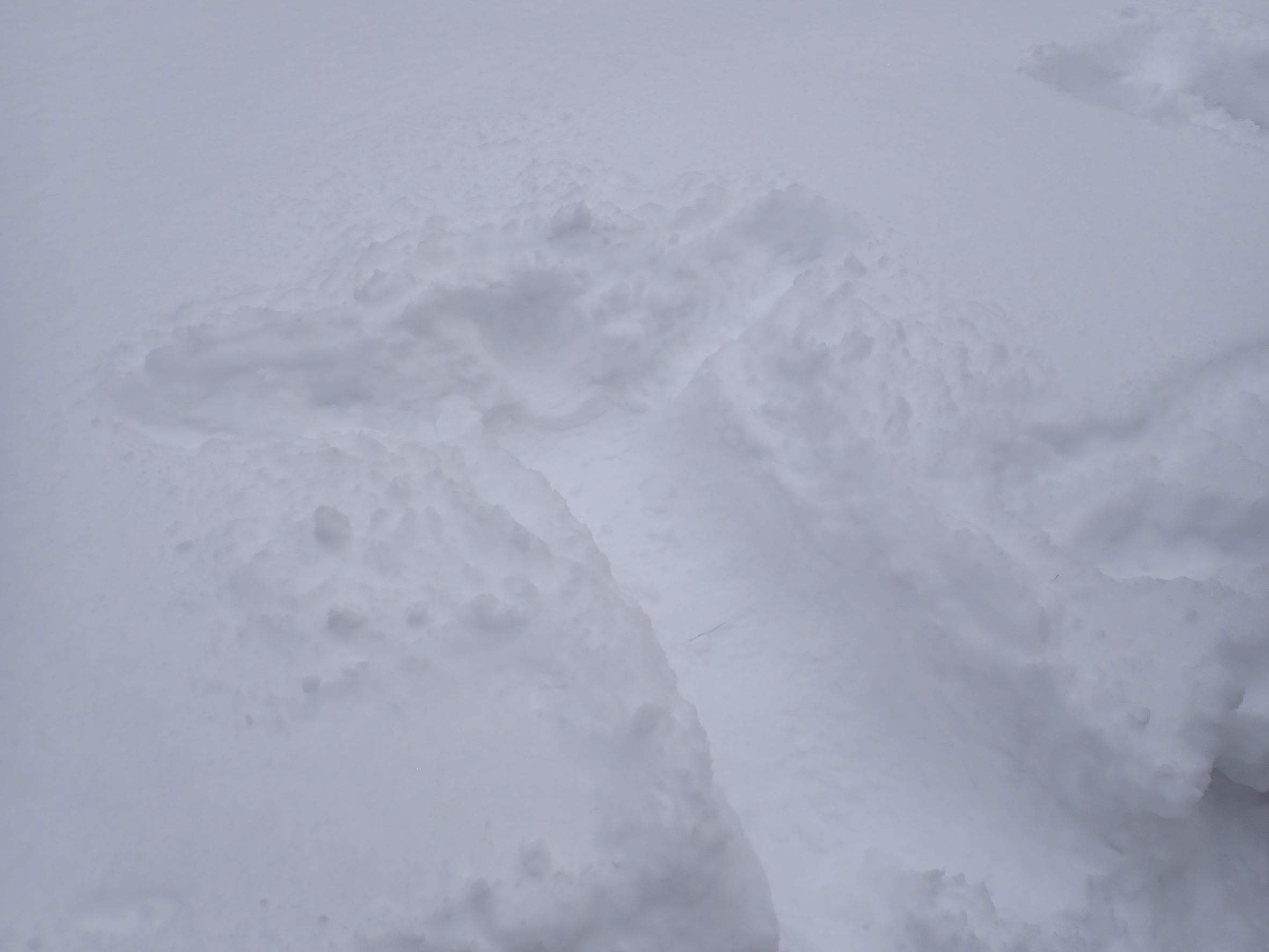 佐藤幸恵の雪上鋳型