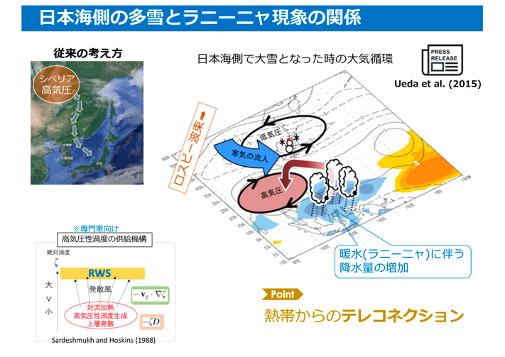 2020-21 寒冬・豪雪解析資料