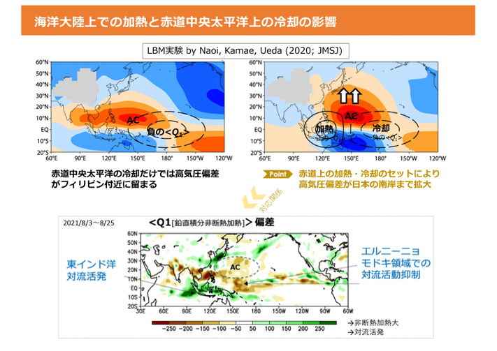 ENSO Impact seasonality&Naoi論文